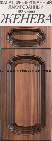 zheneva-001-2.800x600w